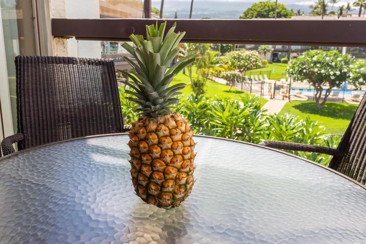 Hale Kamaole 328 Villa Wailea  Holiday home